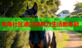 海角社区浦口的魅力生活新体验