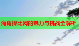 海角操比网的魅力与挑战全解析