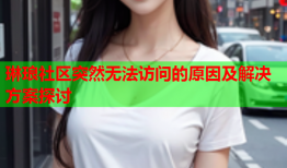 琳琅社区突然无法访问的原因及解决方案探讨