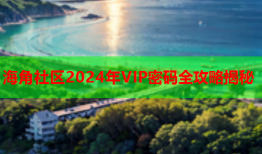 海角社区2024年VIP密码全攻略揭秘