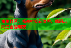 海角社区：畅享社交新体验，结识志同道合的朋友