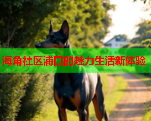 海角社区浦口的魅力生活新体验